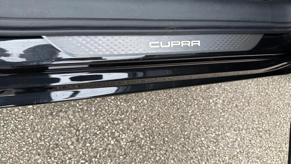 2025 CUPRA Leon 1.5 eTSI V1 DSG