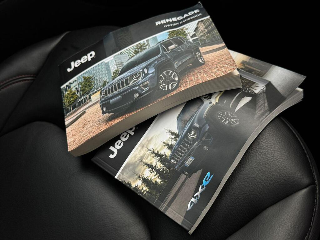 
								2021 Jeep Renegade 1.3 GSE T4 11.4kWh Trailhawk Auto 4xe full									